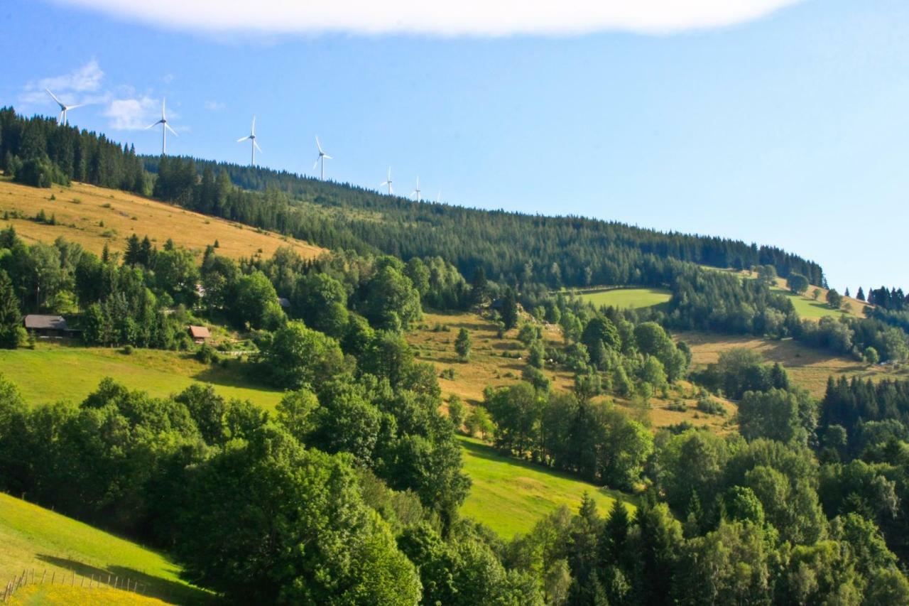 Genussgasthof Willenshofer Sankt Kathrein am Hauenstein Bagian luar foto